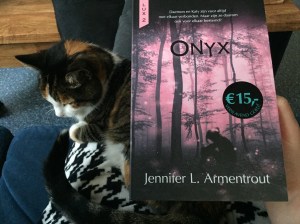 Onyx (2)