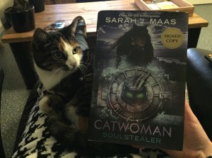 Catwoman Soulstealer (2)