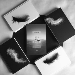 Love Her Wild – Atticus