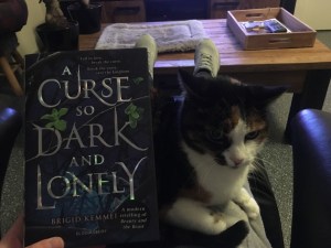 A Curse So Dark And Lonely (2)