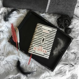 Vicious – V.E. Schwab