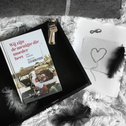 Wij zijn de menigte die moeder heet – Ester Naomi Perquin