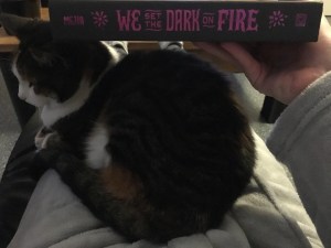 We Set The Dark on Fire