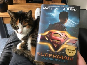 Superman Dawnbreaker (2)