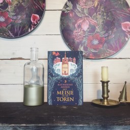 Het meisje in de toren – Katherine Arden