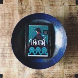 Thorn – Intisar Khanani (ENG + NL)