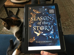 Seasons of the Storm (2)