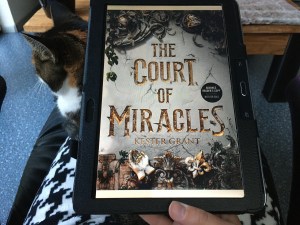 The Court of miracles (2)