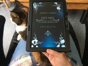 Het Mes van de sluipmoordenaar (2)