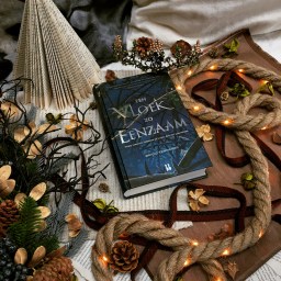 Een vloek zo eenzaam – Brigid Kemmerer