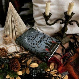 Schim en Schaduw – Leigh Bardugo