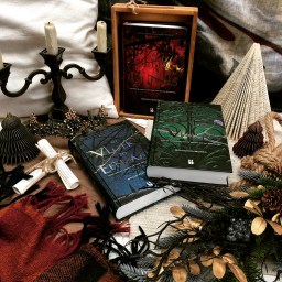 Een eed zo duivels – Brigid Kemmerer