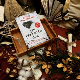 Een perfecte dag – Romy Hausmann