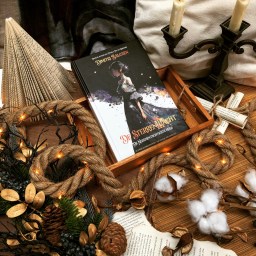 De Sterrenwacht: De negenentachtigste heks – Dimitri Balcaen