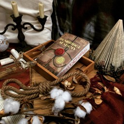 Dunbridge Academy – Sarah Sprinz