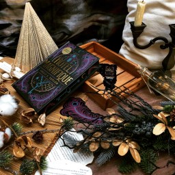 Hotel Magnifique – Emily J. Taylor