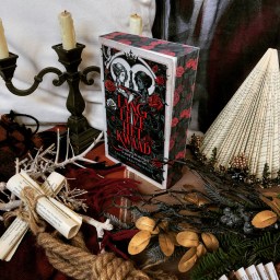 Lang leve het kwaad – Sarah Rees Brennan