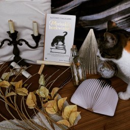 Morisaki’s boekwinkel – Satoshi Yagisawa