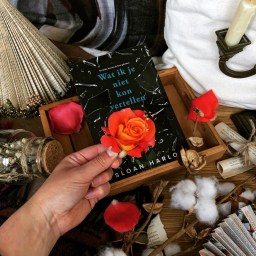 Wat ik je niet kon vertellen – Sloan Harlow