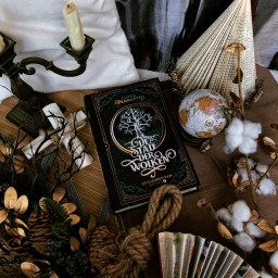 De Stad der Wolken – Flora Pennartz