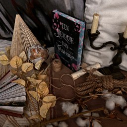 Een melodie van wanhoop – Ilse Pol