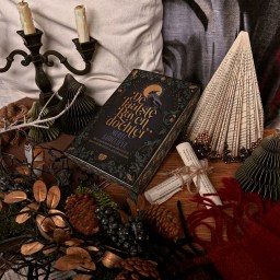 De laatste ravendochter – Merel Godelieve