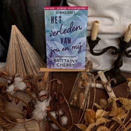 Het verleden van jou en mij – Brittainy Cherry