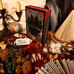 Silvercloak – L.K. Steven