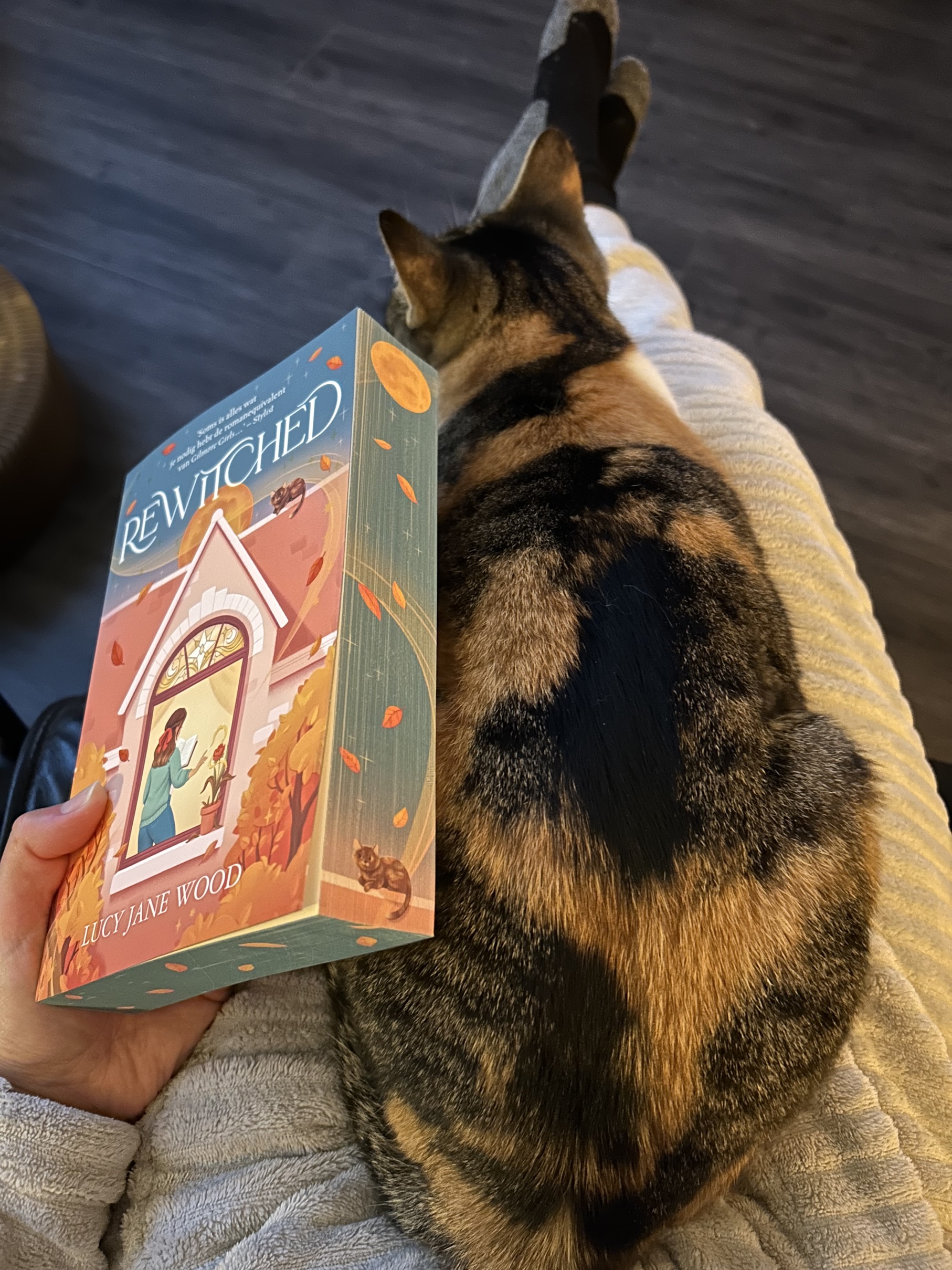 Rewitched – Lucy Jane Wood – My Winged Books – Reviews van YA, Fantasy ...