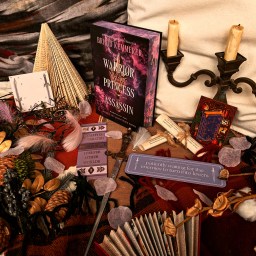 Warrior Princess Assassin – Brigid Kemmerer