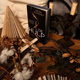 The Housemaid (Freida McFadden) film recensie