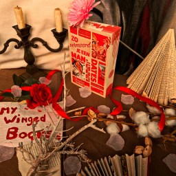 Zo vermoord je een man in tien dates – Shailee Thompson