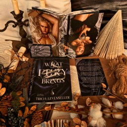 What fury brings – Tricia Levenseller